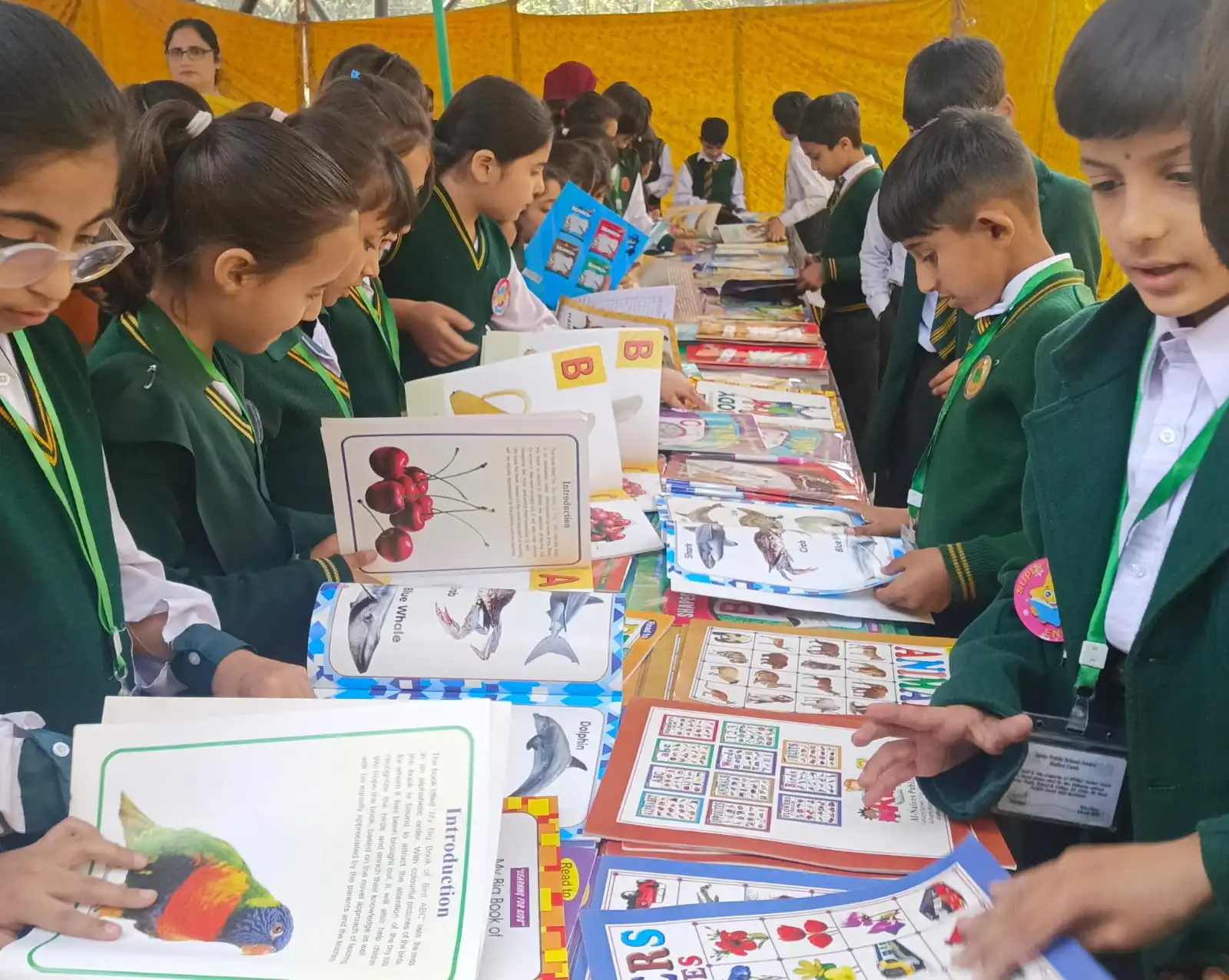 Learning Lifesaving Skills!